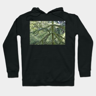 Monkey Puzzle Junction Hoodie